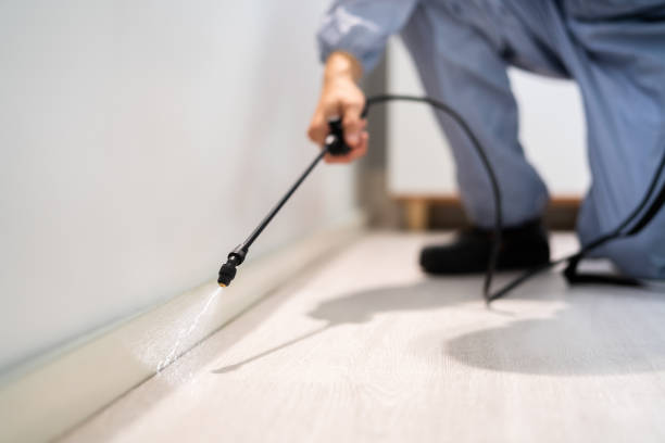 Licensed Cockroach Control service in Ipswich, SD - Nex Pest Control
