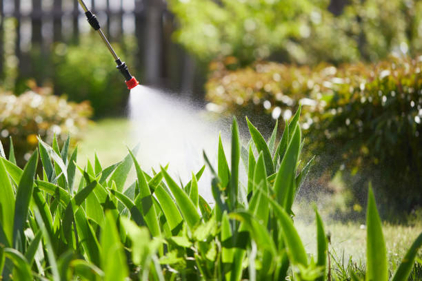 24/7 Emergency Cockroach Control experts in Ipswich, SD
